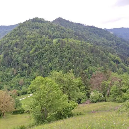 Appartement Apartma Pri Ivanu Spodnja Kanomlja 49 Spodnja Idrija