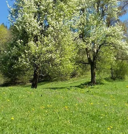 Apartma Pri Ivanu Spodnja Kanomlja 49 * Spodnja Idrija